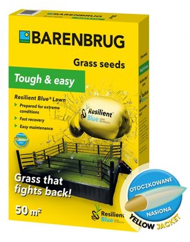 Trawa Odporna Na Suszę Barenbrug Tough & Easy Resilient Blue 1kg - Barenbrug