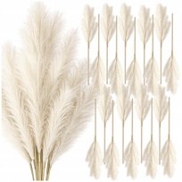 Polecane przez nasz zespół