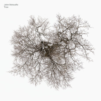 Tree, płyta winylowa - Metcalfe John