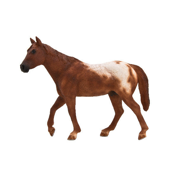 Trefl, Figurka kolekcjonerska, Ogier Appaloosa