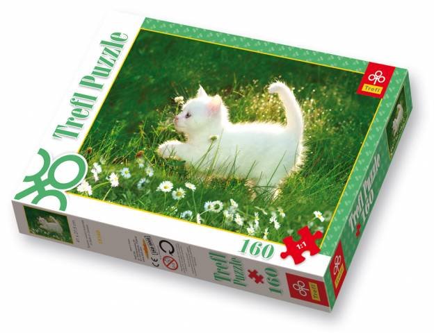 Trefl, puzzle, Spacer w stokrotkach, 160 el.
