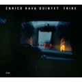 Tribe - Petrella Gianluca, Guidi Giovanni, Evangelista Gabriele, Ancillotto Giacomo, Enrico Rava Quintet