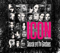 Tribute To Siouxie & The Banshees Icon