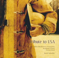 Tribute To USA Various Artists