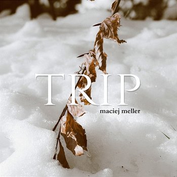 Trip - Maciej Meller