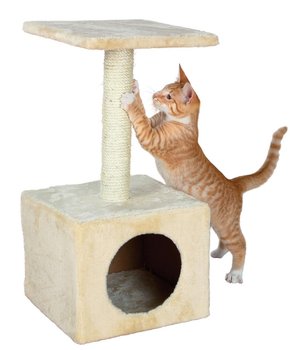 TRIXIE Drapak dla kota domek ZAMORA 61cm Beżowy - Trixie