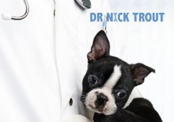 Dr Trout jak dr House