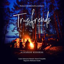 True Friends - audiobook