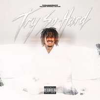 Try so Hard YoungBoy Never Broke Again, Never Broke Again