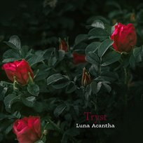 Tryst Luna Acantha