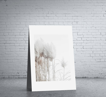 trzciny, trawy pampasowe, biały plakat boho 50x70 - DEKORAMA