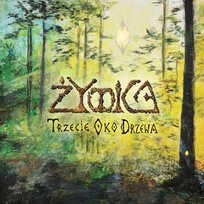 Trzecie Oko Drzewa Żywica