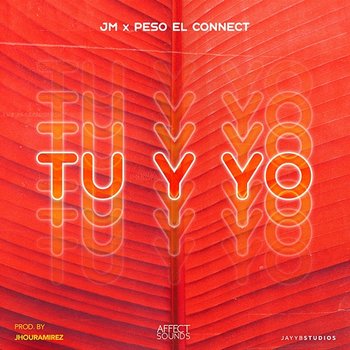 Tu Y Yo - JM Fuego and Peso El Connect