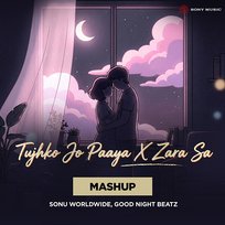Tujhko Jo Paaya X Zara Sa Pritam, Sonu Worldwide, Mohit Chauhan, Good Night Beatz