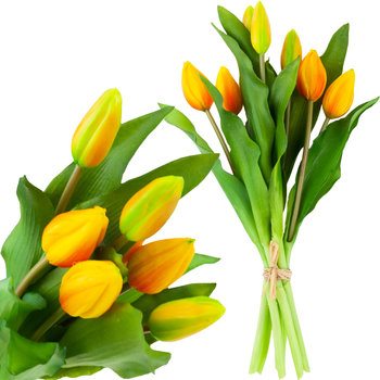 Tulipan Gumowany Bukiet X7 Pomarańczowe Jak Żywe - MARTOM