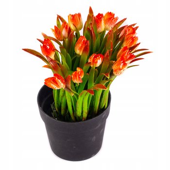 Tulipan Sztuczne Kwiaty W Doniczce Różne Kolory - Midex