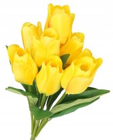 Tulipany Bukiet Tulipanów Gumowane Gumowe Jak Żywe