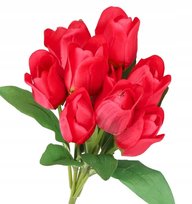 Tulipany Bukiet Tulipanów Gumowane Gumowe Jak Żywe