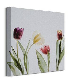 Tulipany - obraz na płótnie - Nice Wall