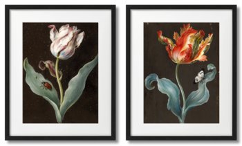 Tulipany, Plakaty Vintage - DEKORAMA