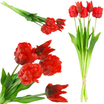 Tulipany Tulipan Papuzie Bukiet Gumowane 5Szt Real - MARTOM
