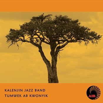 Tumwek AB Kwonyik - Kalenjin Jazz Band