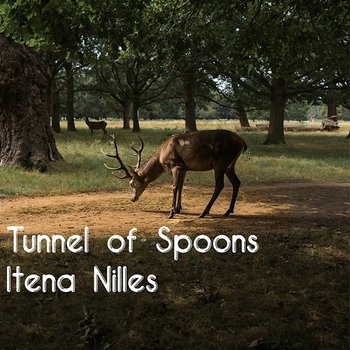 Tunnel of Spoons - Itena Nilles