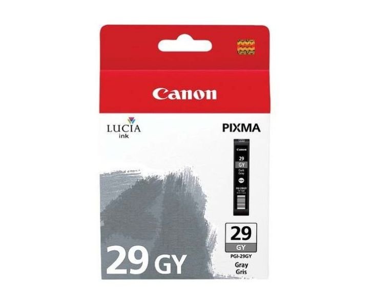 Tusz CANON PGI-29GY 4871B001, szary