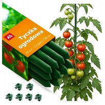TYCZKI DO POMIDORÓW 150CM 10SZT PODPORA ROŚLIN PALIKI STAL PVC 11MM