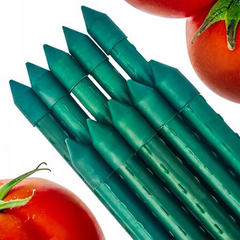 Tyczki do roślin i pomidorów 120 cm grube 11mm - 10 SZT. stalowe powlekane - GardenPlus