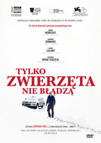 Nowości DVD
