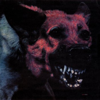 Under Color Of Official Right - Protomartyr