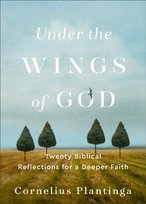 Under the Wings of God - Twenty Biblical Reflections for a Deeper Faith Baker Publishing Group