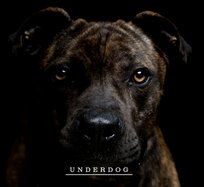 Underdog WNDKR