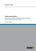 Understanding BRICs - Strenger Natascha