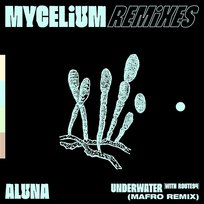Underwater Aluna, Route 94