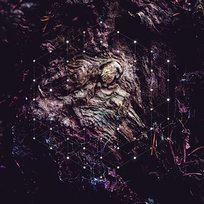 Unfold The God Man Psychonaut