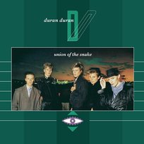 Union Of The Snake Duran Duran