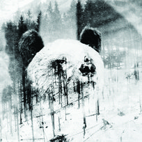 Najczęściej kupowane