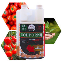 Uodpornij - Naturalny Nawóz Do Pomidorów z Pokrzywy, Biohumusu i Bacillus - Agrobiotec - Koncentrat 1 Litr