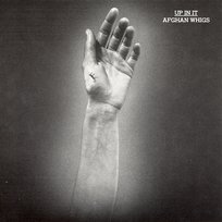 Up In It Afghan Whigs