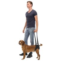 Uprząż rehabilitacyjna dla psa TRIXIE, rozmiar M, 55-65 cm Trixie