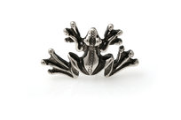 Urocza Broszka Żabka Amulet Na Szczęście