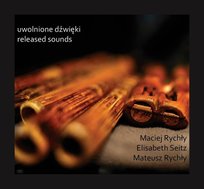 Uwolnione Dźwięki - Released Sounds Rychły Maciej, Rychły Mateusz, Seitz Elisabeth