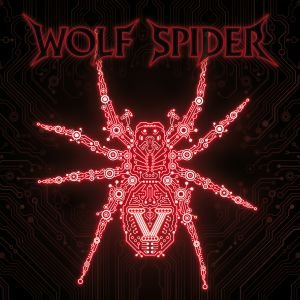 V - Wolf Spider