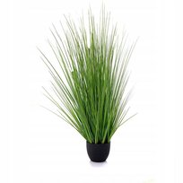 V06320 Trawa W Doniczce 55Cm