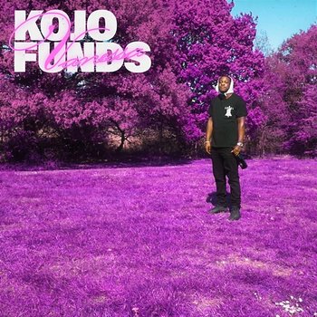 Vanessa - Kojo Funds