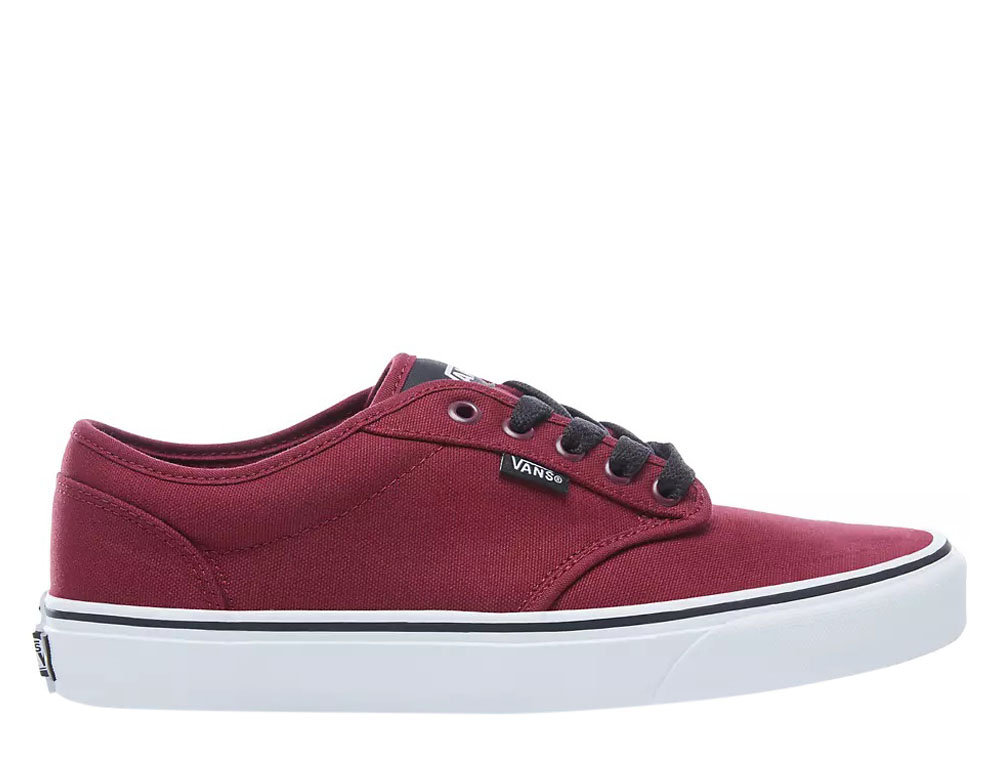 vans skate series