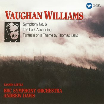 Vaughan Williams: Symphony No. 6, "The Lark Ascending", Fantasia On A Theme By Thomas Tallis, Fantasia on Greensleeves, The Wasps-Overture - Andrew Davis