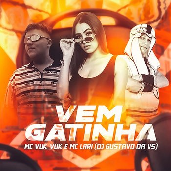 Vem Gatinha - DJ GUSTAVO DA VS, Mc Vuk Vuk & MC Lari